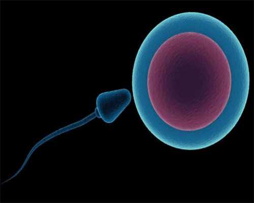 试管婴儿能要龙凤胎吗_试管三代可以选择2个吗_孕妇梦到龙结果生女儿的案例多