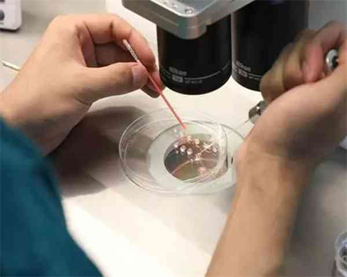 做三代南京助孕试管的要求 京鼓楼医院3代试管费用做第三代试管婴儿大概多少