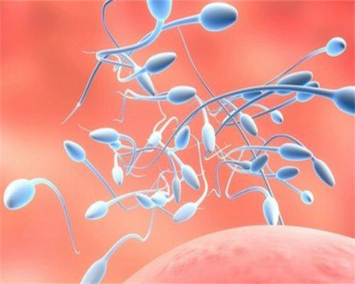 试管长方案流程步骤_试管人工周期流程_试管婴儿，双胎，其中一个有问题，需