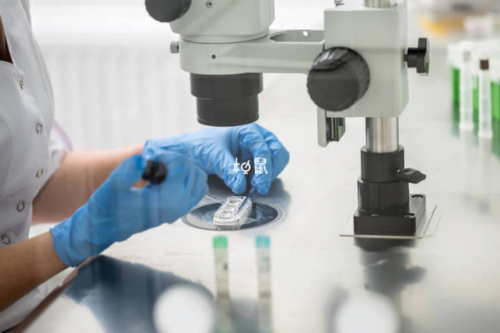 哪里试管可以选择性别_供卵三代试管_53745_在做完试管婴儿移植后，饮食和生活