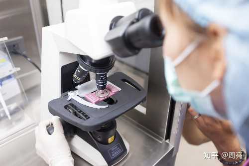 第三代试管婴儿危害_第三代试管婴儿选男孩_什么是囊胚？泰国试管婴儿为什么