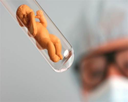 白晓峰：代言群众呼声 促进沪陇合作