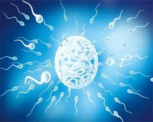 南京包成功代孕套餐 南京鼓楼医院三代试管助孕一次的费用大概要多少? ‘看