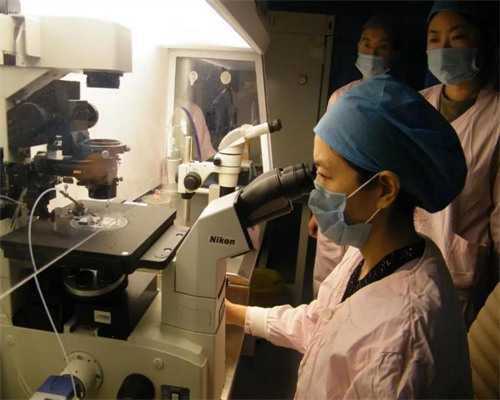 试管婴儿成功率多少_试管婴儿可以决定性别吗_试管婴儿是不是一次就可以成功