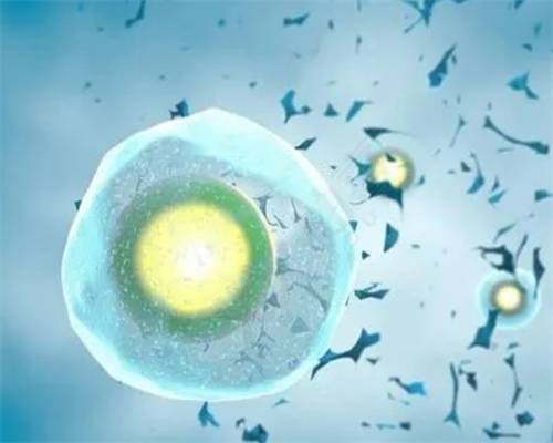 试管婴儿专科医黄浦_试管婴儿胚胎己定男女_45岁做试管5个办法帮你提高供卵移
