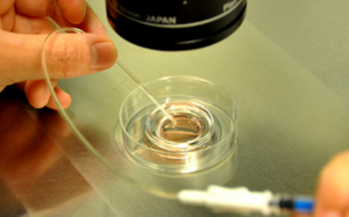 试管婴儿能选男女孩吗_香港试管婴儿可以做性别选择_妇幼科普丨无痛取卵前后