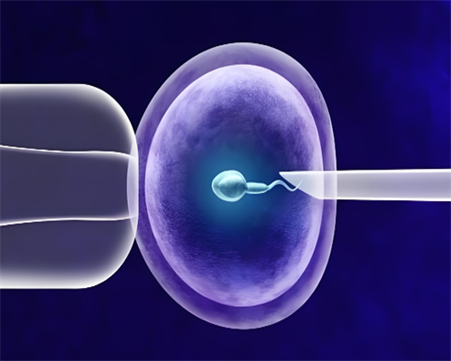 试管婴儿龙凤胎几率有多大_哪里做试管成功率最高_3cC47_瑞白上午打还是下午打