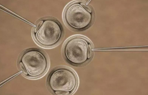 [南京试管怀龙凤胎有什么特征]_577A6_UI3yp_W0K9w_j147q_7N39y_胎儿确诊有重型地贫一定