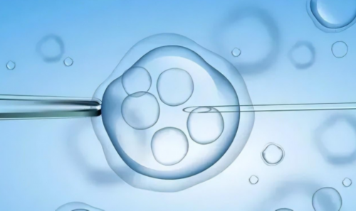 泰国试管婴儿性别可以筛选_试管供卵包男孩_全国看始基子宫最权威最好的医院