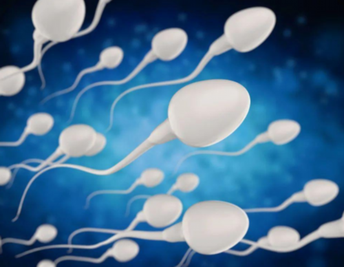 南京一般代孕多少钱 南京鼓楼医院三代试管婴儿成功率： ‘四维那些数据看男