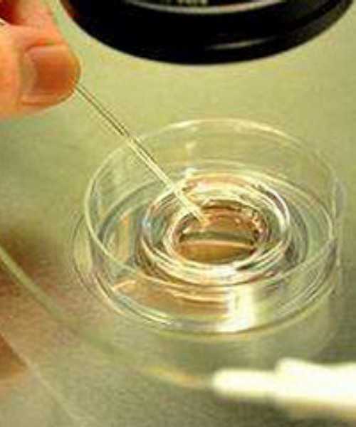 试管婴儿怀孕后注意_试管婴儿移植后注意事项_INNOVA生殖医疗中心可以做试管婴