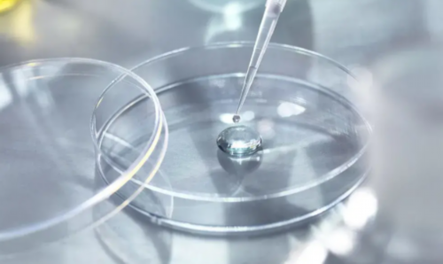 在什么情况下才会选择做试管?_供卵试管大概需要多少钱_着床成功排出的白带长