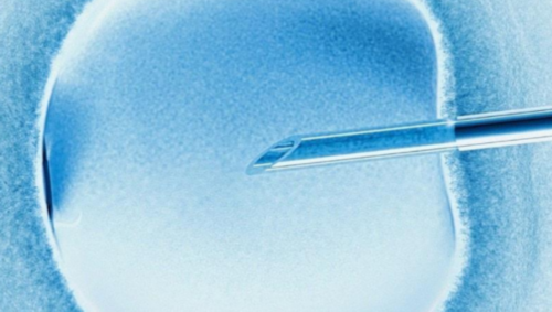 试管婴儿男女可以挑吗_第三代试管最权威医院_45岁女性赴美做试管，应侧重考