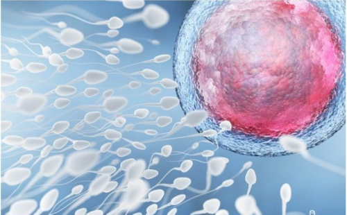 (a)代孕的手术费,备孕妈妈：排卵试纸测早孕准不准？