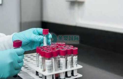 台媒炒作台军战机清晨模拟紧急升空拦截，岛内网友嘲讽