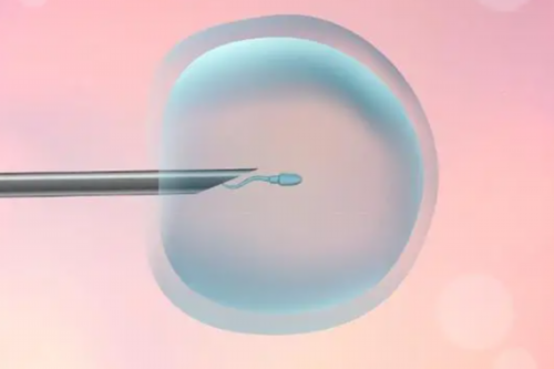 试管婴儿的孩子健康吗_三代试管婴儿的优缺点_试管婴儿哪一代比较好？试管婴