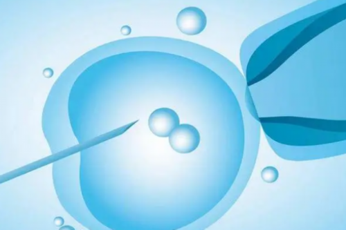 哪个医院做试管包成功_试管婴儿取卵时疼吗_日本做试管成功率多少做试管婴儿