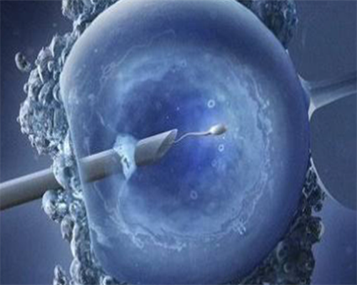 试管可以选择胎儿性别吗_供卵试管成功率高吗_做试管婴儿夫妻应该注意啥？