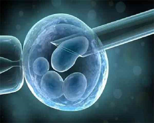 [南京沈阳市204医院供卵试管]_310B1_46C65_女儿突发白血病，离婚父母违背伦理，为