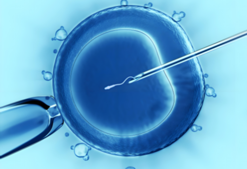 山西同济医院生殖科做试管移植两个鲜胚成功率怎么样？