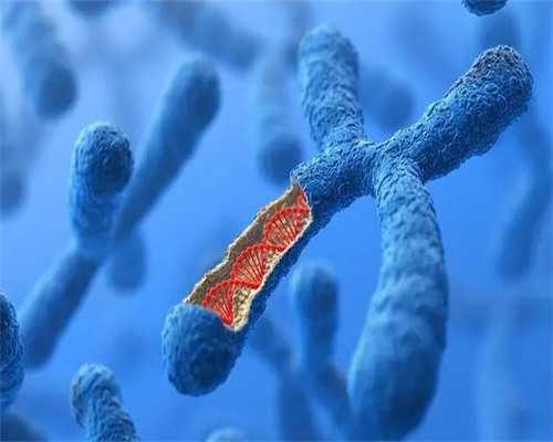 做试管婴儿排卵针贵吗_超长方案试管流程_74494_孕妇产检地贫一定要做吗？可以