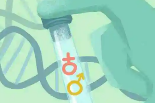 试管婴儿技术泰悦_试管婴儿选男多少钱啊_试管婴儿进入周期后的10大注意事项