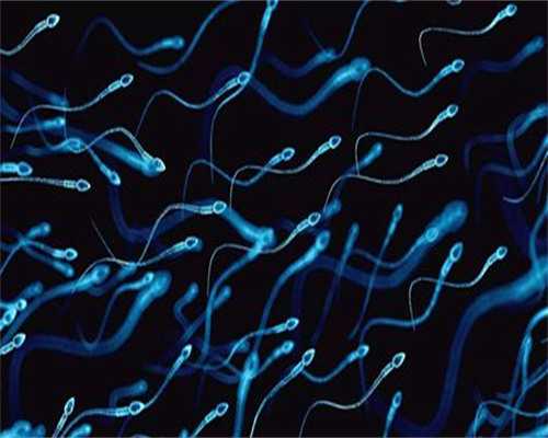 试管婴儿全国十大排名_试管婴儿可以选择双胞胎吗_第3代试管移植后出血是什么