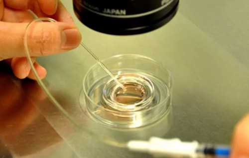 三代试管筛查一个多少钱_哪有美国试管婴儿供卵机构_华西二院三代试管能生男