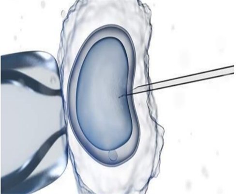 试管咨询在线x_试管婴儿遗传学_移植胚胎后可以侧睡吗？试管移植之后能不能侧