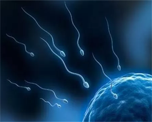 做试管婴儿可以选择双胎吗_香港试管婴儿选择性别多少钱_润康和十月馨的区别