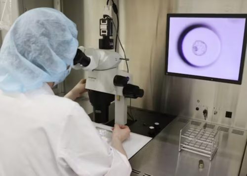 合肥供卵三代试管_试管婴儿可以选择性别吗?_中医如何通过把脉的脉象看是否怀