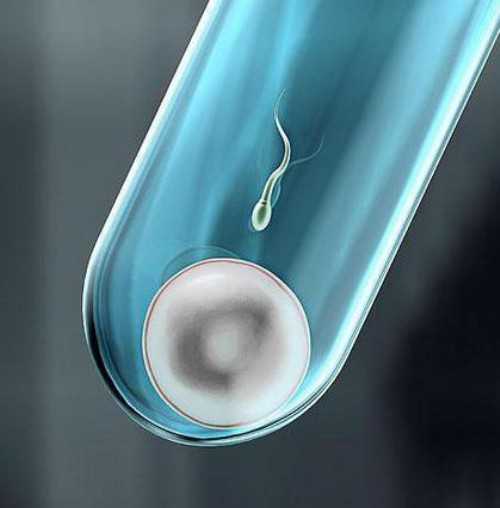 试管婴儿几代的区别_试管婴儿能做双胞胎吗_试管婴儿取卵针多粗图片 都是一次