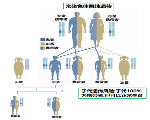 长沙哪里可以做供卵试管婴儿_做第几代试管可以自己选择吗_9T747_准备500元给胎