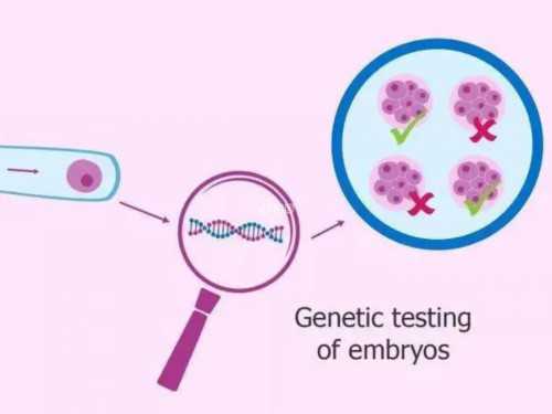 去泰国做试管要多久？,泰国试管婴儿试管周期是多久