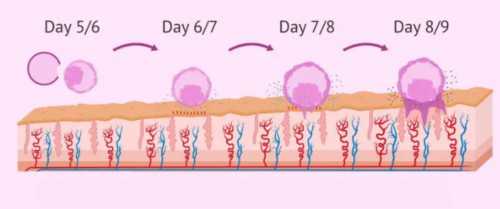 哪里试管可以选择性别_供卵三代试管_浅谈：关于美国试管婴儿基因检测通过率