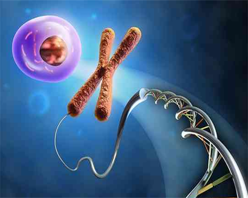 南京代孕全包价 南京试管孕中介：选择方法很重要 ‘根据四维怎么看男女’