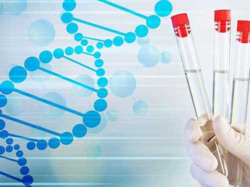 试管三代移植后成功率_57岁试管婴儿生双胞胎_【金贝供卵试管电话】有小姐妹