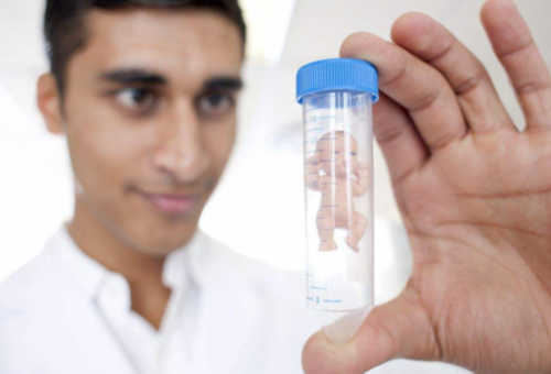 试管婴儿的具体步骤_试管婴儿确定男女吗_试管婴儿当然周期时间计划方案