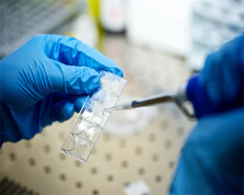 用四十年读一座城