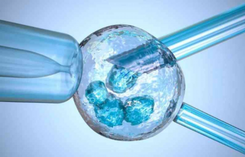 三代试管筛查成功率_试管生男孩多还是女孩多_试管婴儿打达菲林降调完还打促