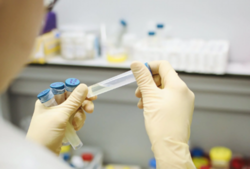 游灵山石树 饱览山水无限风光