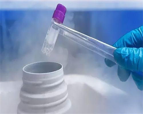 南京借卵子做试管婴儿吗 南京妇幼保健院供精试管姐妹经历 ‘二级筛查b超单看