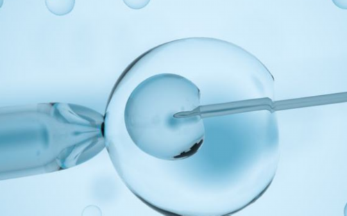 试管婴儿全国十佳医院_国际试管自助平台_做试管婴儿可以报销吗