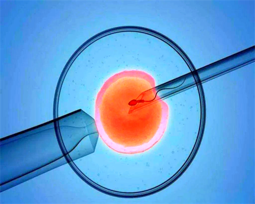 绝经期妇女怎样补充雌激素