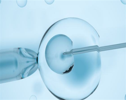 试管会挑选优质精子_供精试管可以知道对方哪些信息?_瑞白上午打还是下午打好