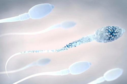 第三代试管婴儿医院性别筛选_哪里试管可以选男孩_泰国试管婴儿正规中介排名