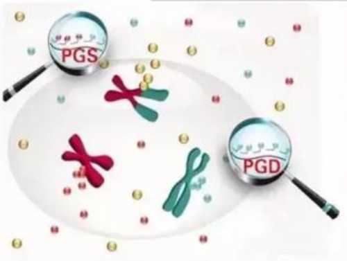 经期前后外阴瘙痒怎么治疗