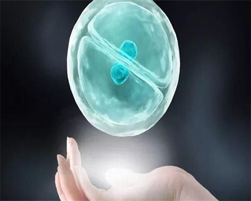 南京供卵代生小孩费用 南京四维彩超预约步骤 ‘唐筛数据看男女准吗’