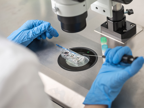 试管婴儿对女性的伤害_2026试管婴儿花费明细表_美国试管婴儿年龄多大算高龄