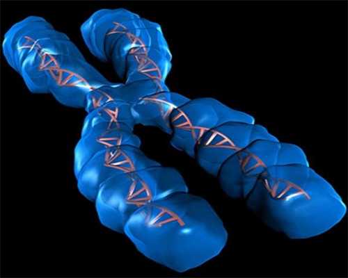 哪里做供卵试管不用排队_三代试管筛选多久_53岁失独母亲产下一女，她说要把